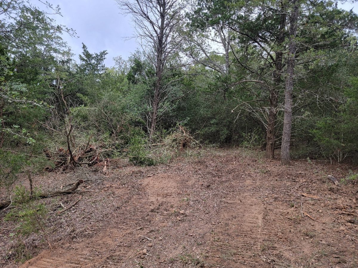Opening cleared in woods, with brush pushed to the edges