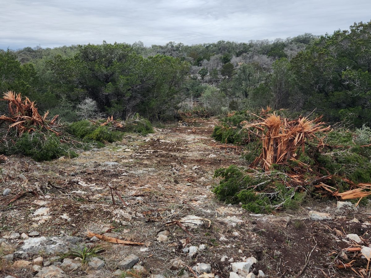 Strip of ground cleared through brush, with uprooted stumps and limestone on the surface