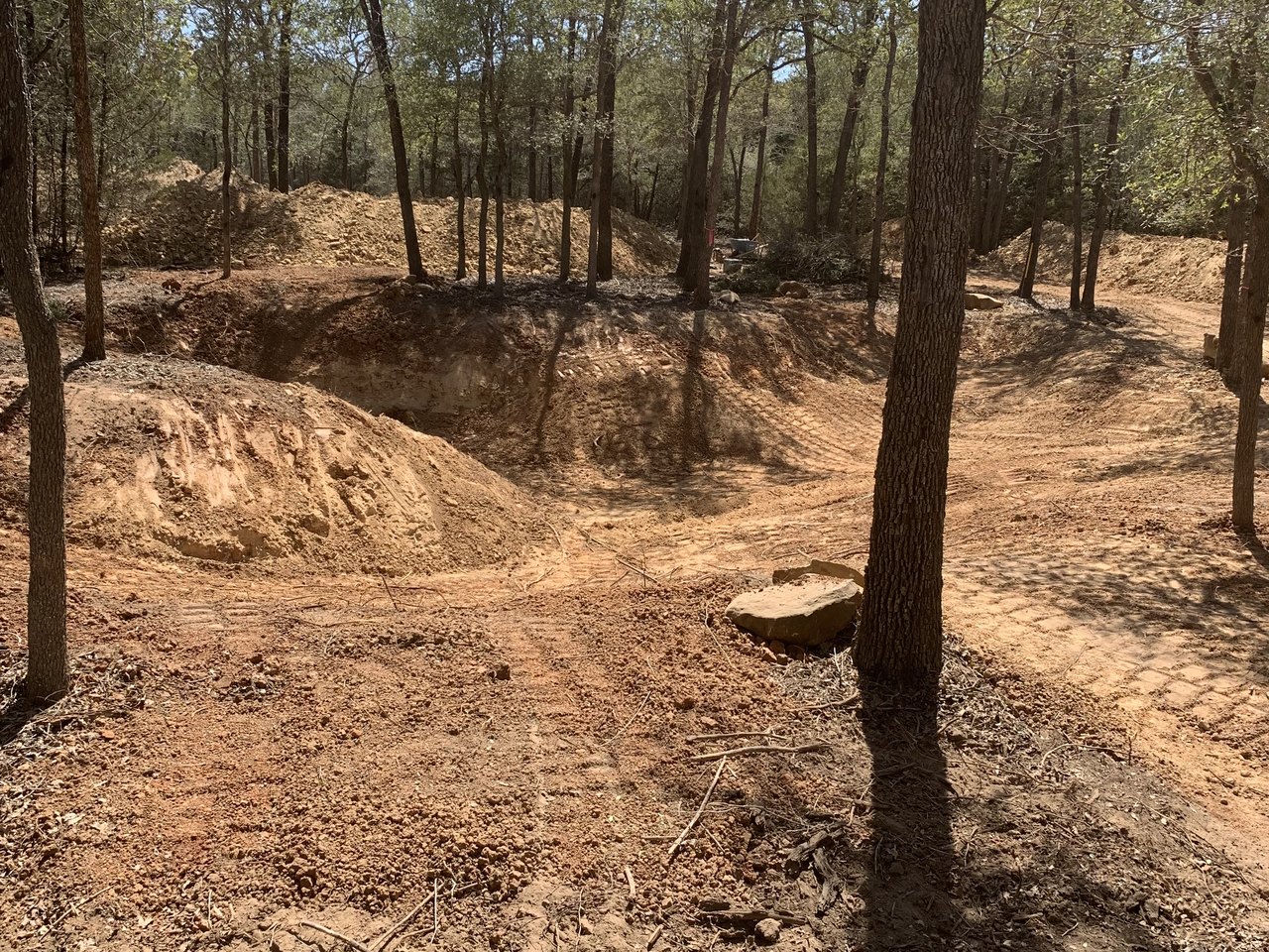 Cleared woodland floor with the trees left standing and the earth worked into mounds