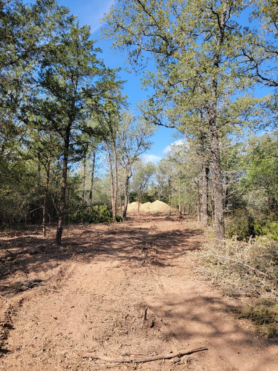 Cleared track through woodland, with mounds of soil in the distance
