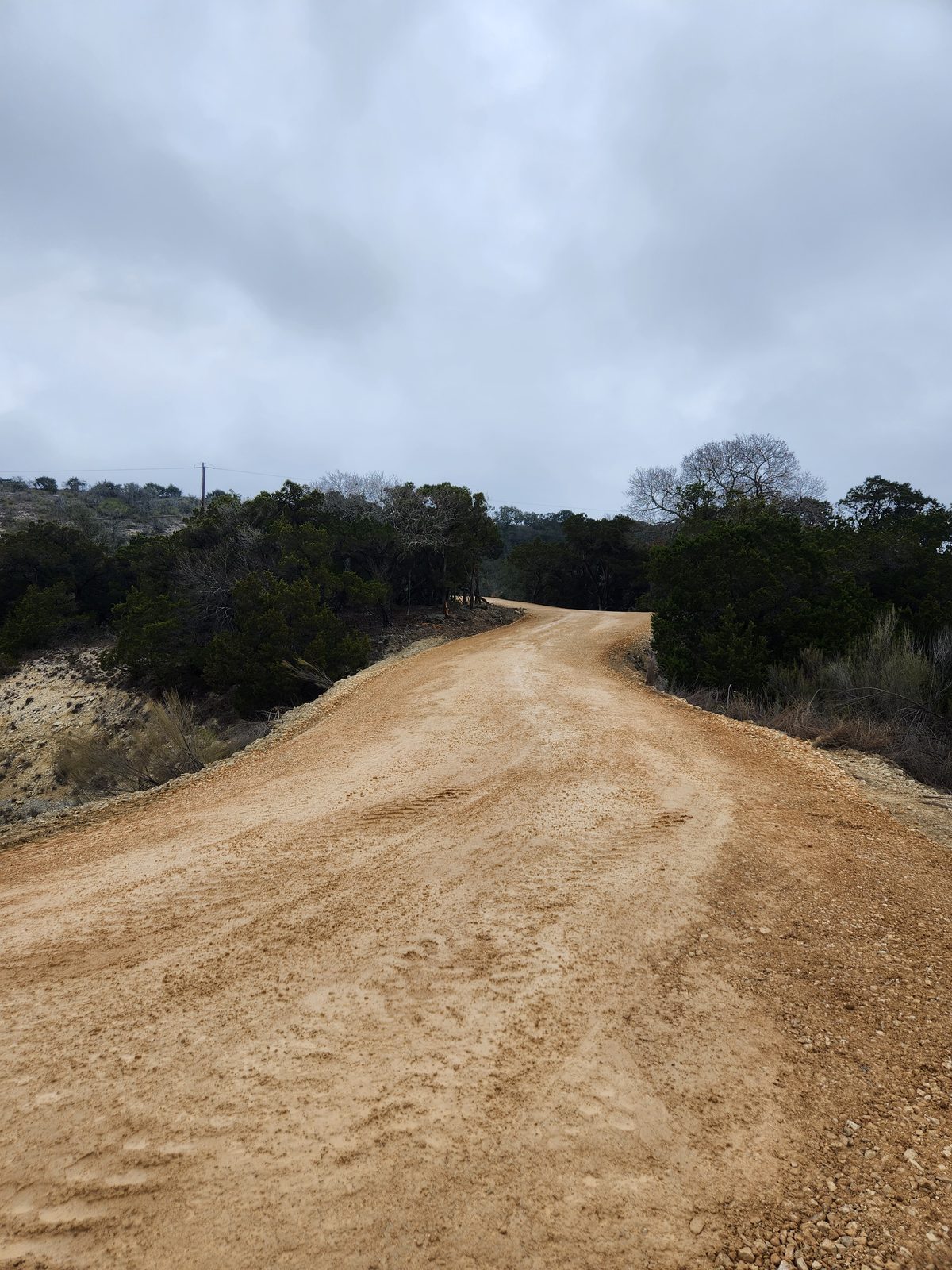 Graded caliche road bending through brush under an overcast sky