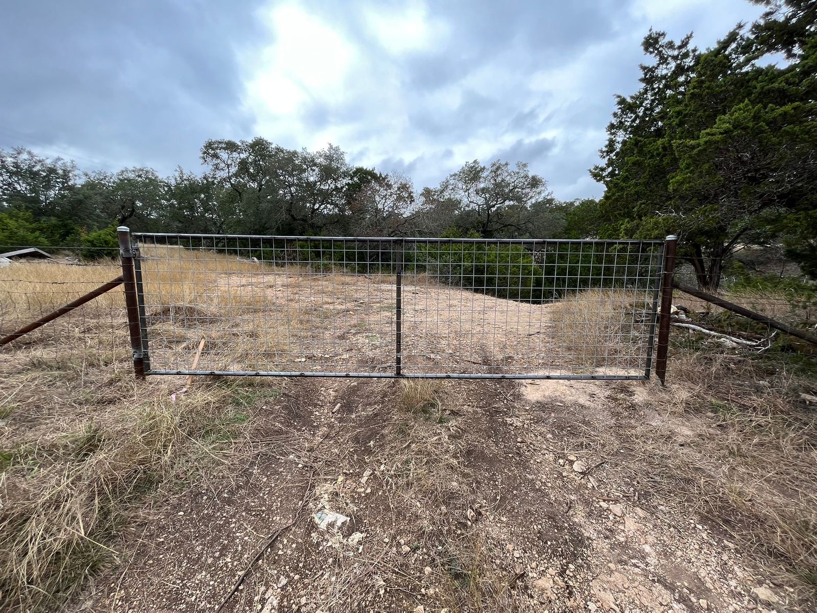 Wire-panel steel gate across a dirt track, with oaks and cedar behind it