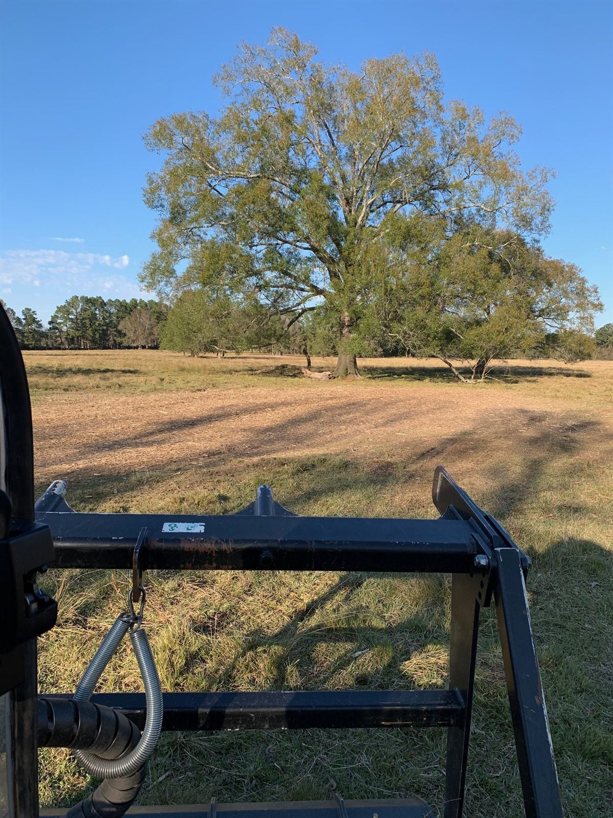 Shredded pasture and mature oaks from the operator's seat