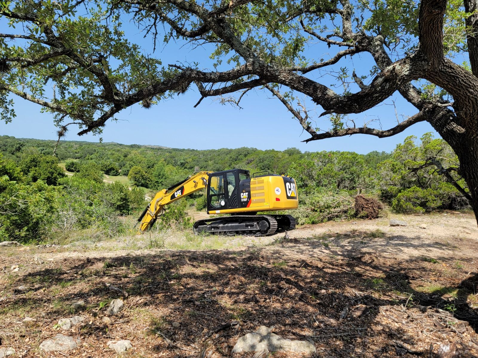 Excavator clearing brush beneath a live oak