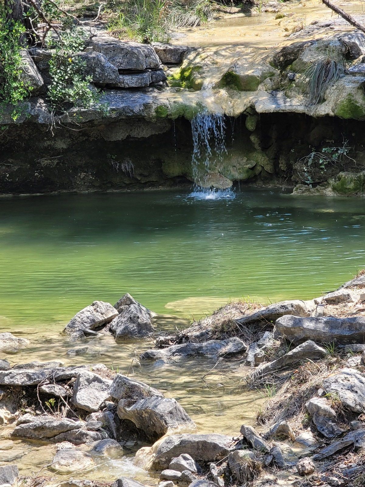 Restored spring-fed crossing flowing over limestone
