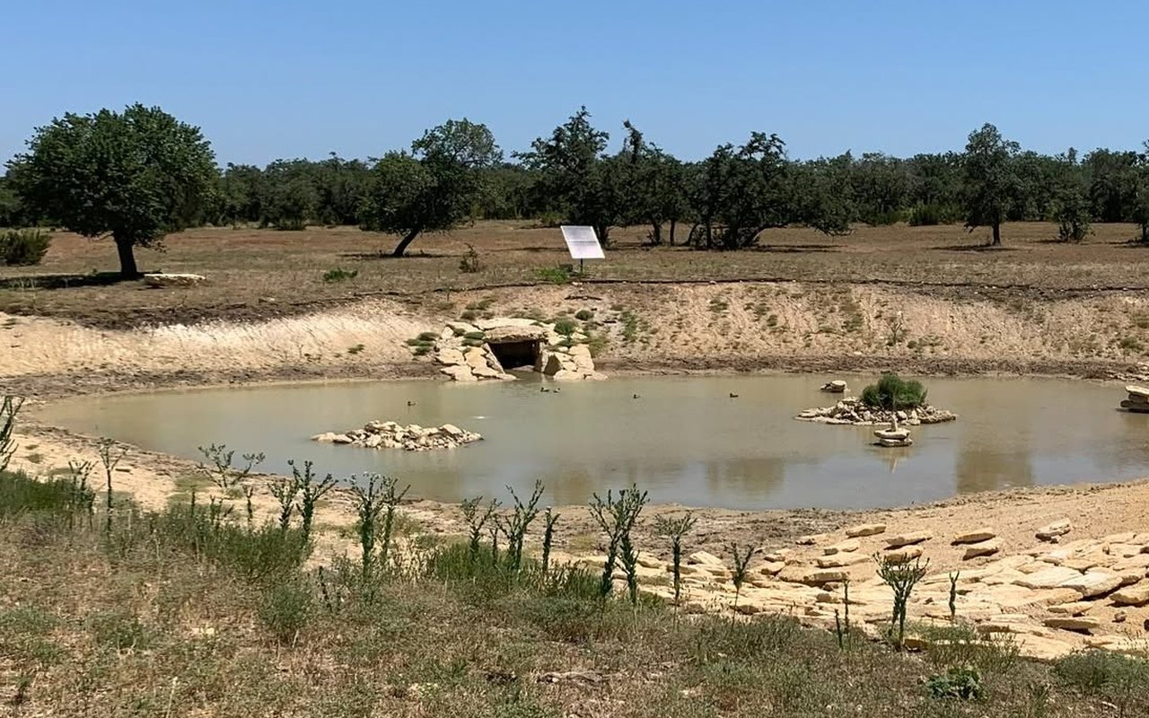 Newly built stone-lined pond with shallow muddy water and bare banks