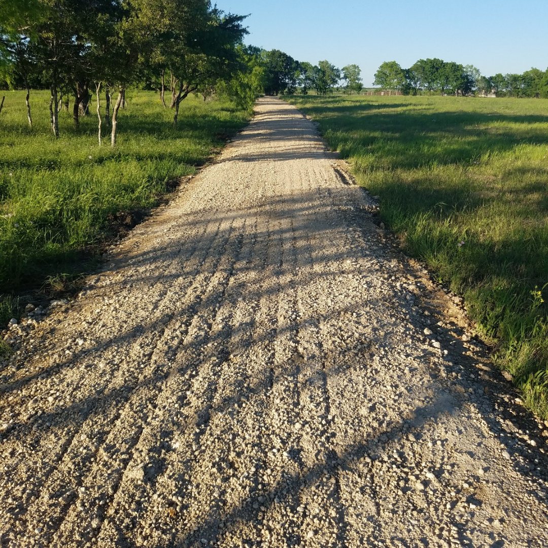 Graded gravel road running straight across open pasture, with trees along its left edge