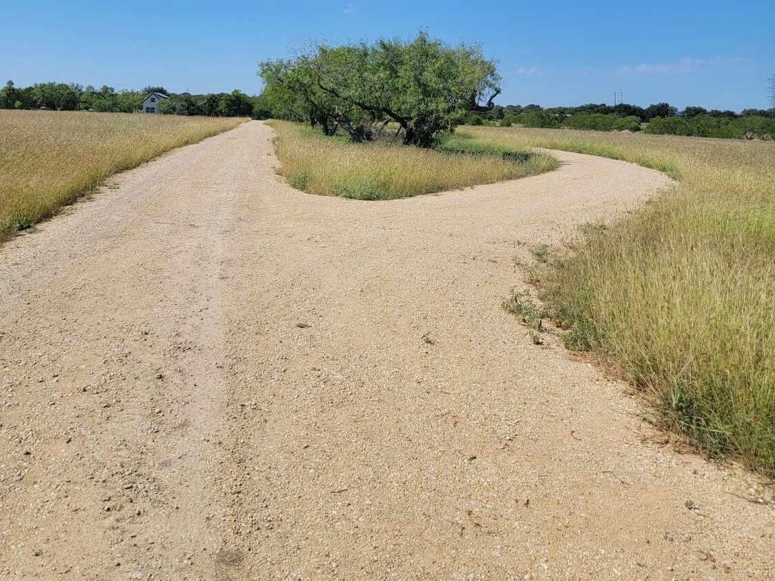 Caliche road forking around a mesquite through open pasture