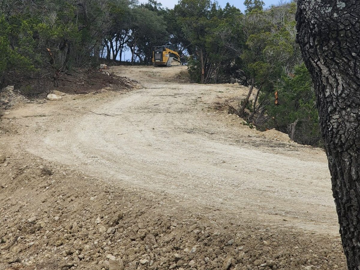 Caliche road winding through oaks, with a tree trunk at the right of the frame