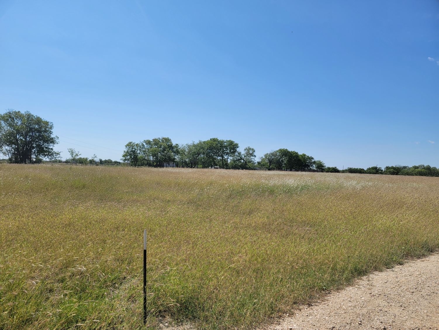 Open pasture and cleared fence line
