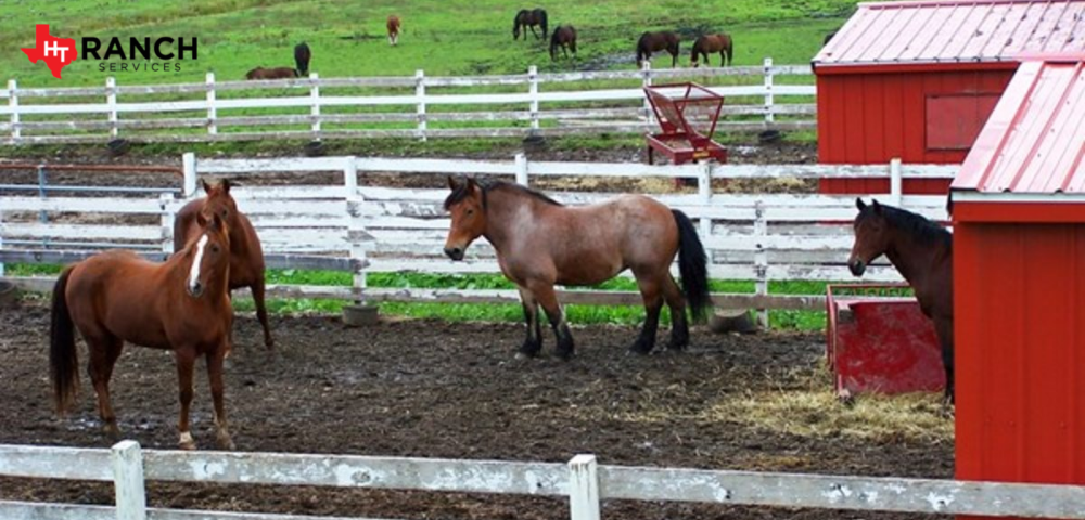 pasture management services in Texas