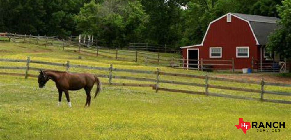 Managing Small Horse Pastures